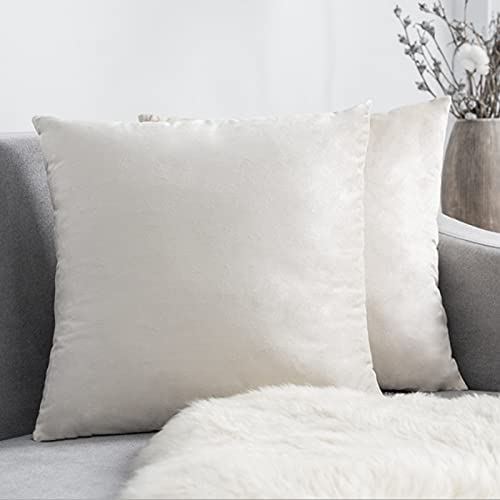Pillow Covers Velvet Soft Solid Decorative Square Cushion Covers for Bed