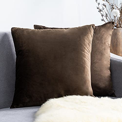 Pillow Covers Velvet Soft Solid Decorative Square Cushion Covers for Bed