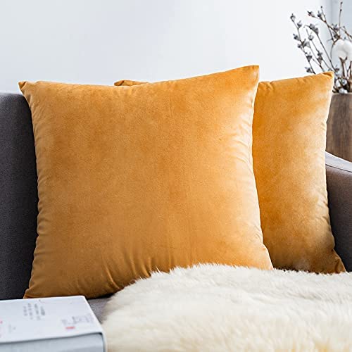 Pillow Covers Velvet Soft Solid Decorative Square Cushion Covers for Bed