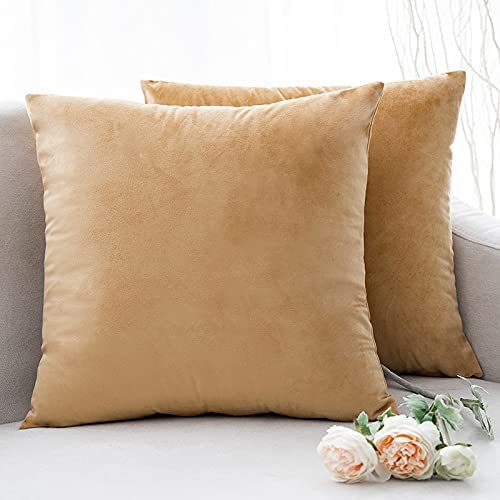 Pillow Covers Velvet Soft Solid Decorative Square Cushion Covers for Bed