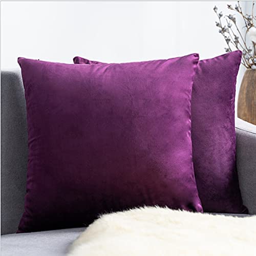 Pillow Covers Velvet Soft Solid Decorative Square Cushion Covers for Bed