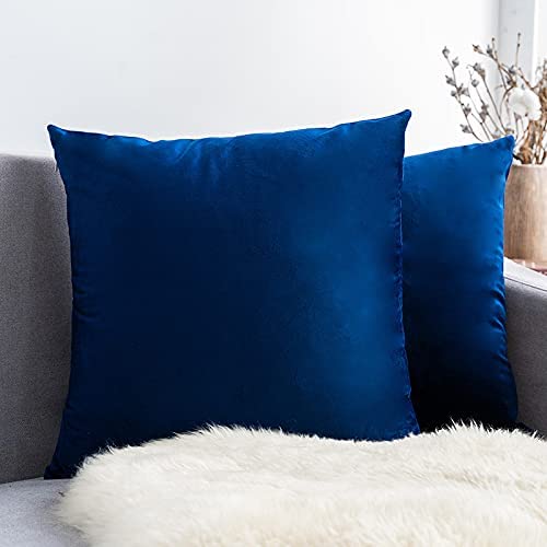 Pillow Covers Velvet Soft Solid Decorative Square Cushion Covers for Bed